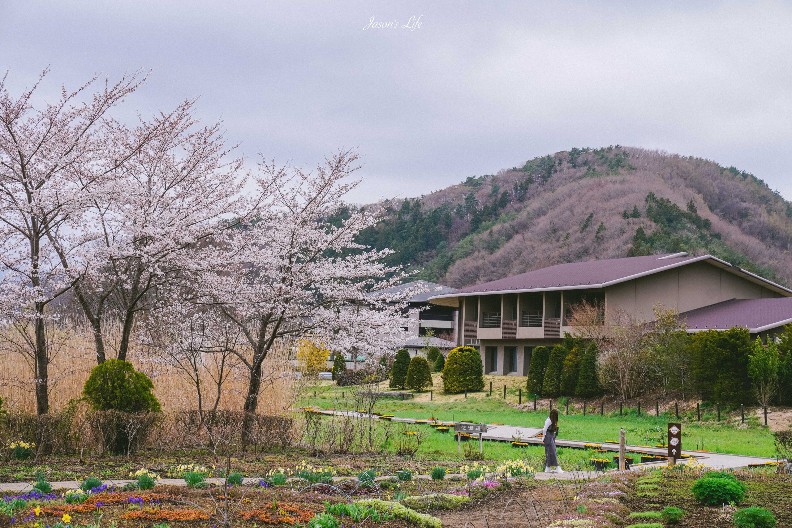 【日本山梨│景點】河口湖自然生活館-大石公園。靜謐富士山下的湖景，眾多富士山伴手禮，還有商店街 @Jason&#039;s Life