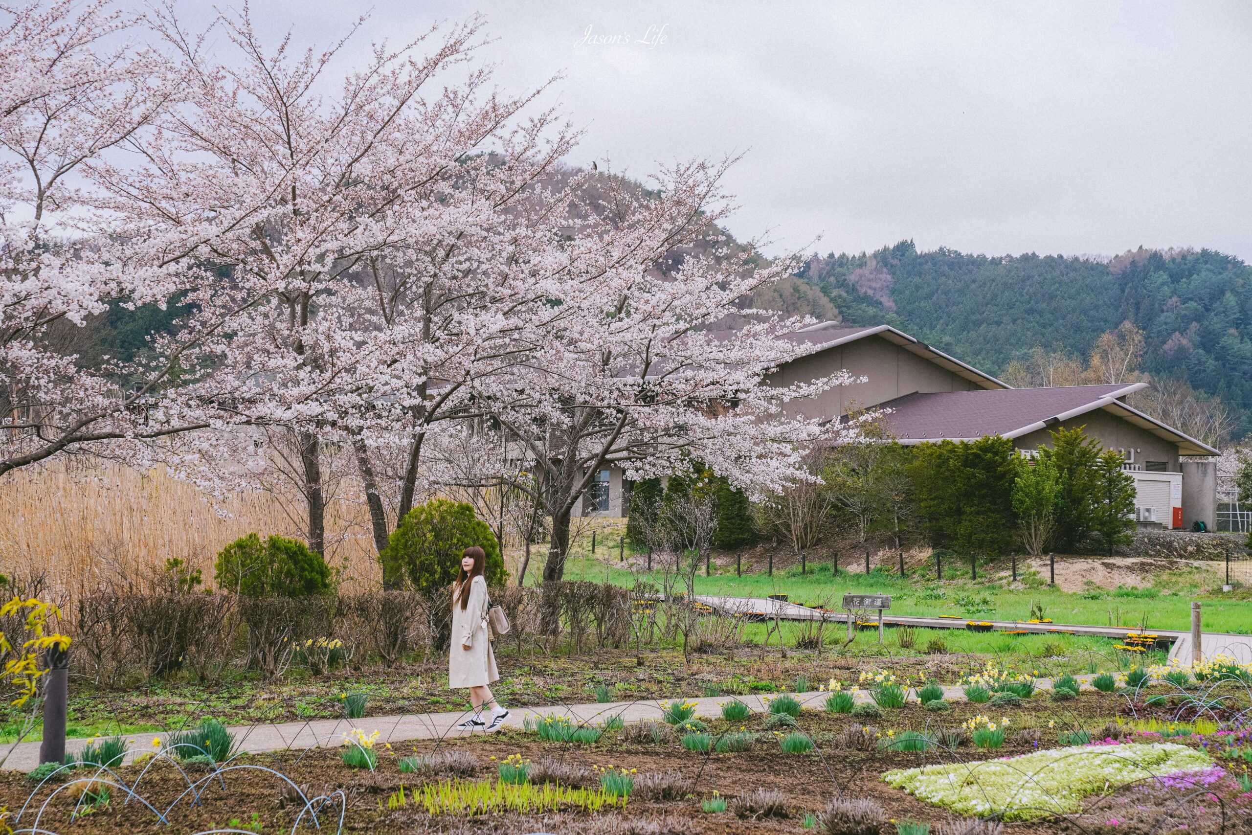 【日本山梨│景點】河口湖自然生活館-大石公園。靜謐富士山下的湖景，眾多富士山伴手禮，還有商店街 @Jason&#039;s Life