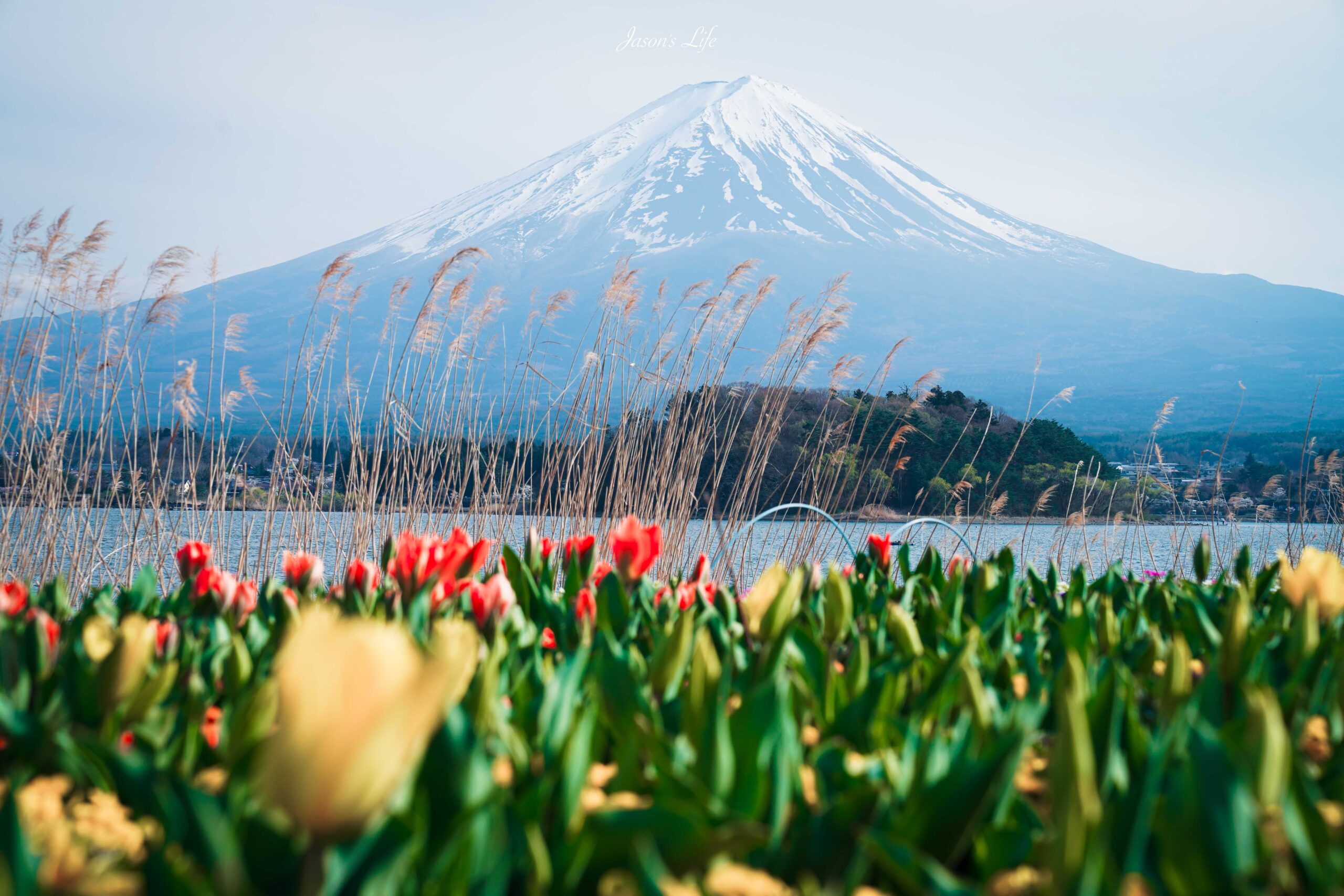 【日本山梨│景點】河口湖自然生活館-大石公園。靜謐富士山下的湖景，眾多富士山伴手禮，還有商店街 @Jason&#039;s Life