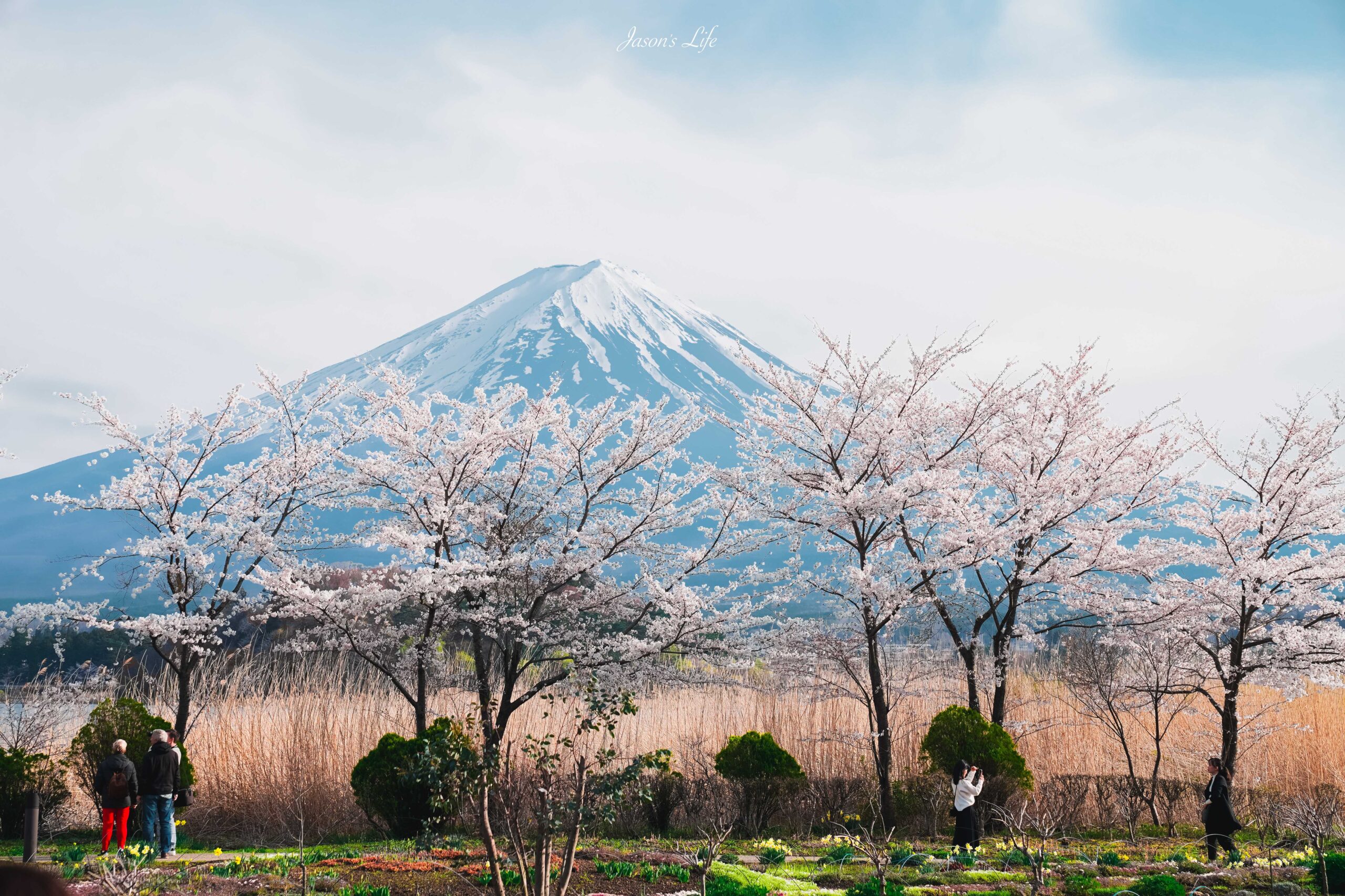 【日本山梨│景點】河口湖自然生活館-大石公園。靜謐富士山下的湖景，眾多富士山伴手禮，還有商店街 @Jason&#039;s Life