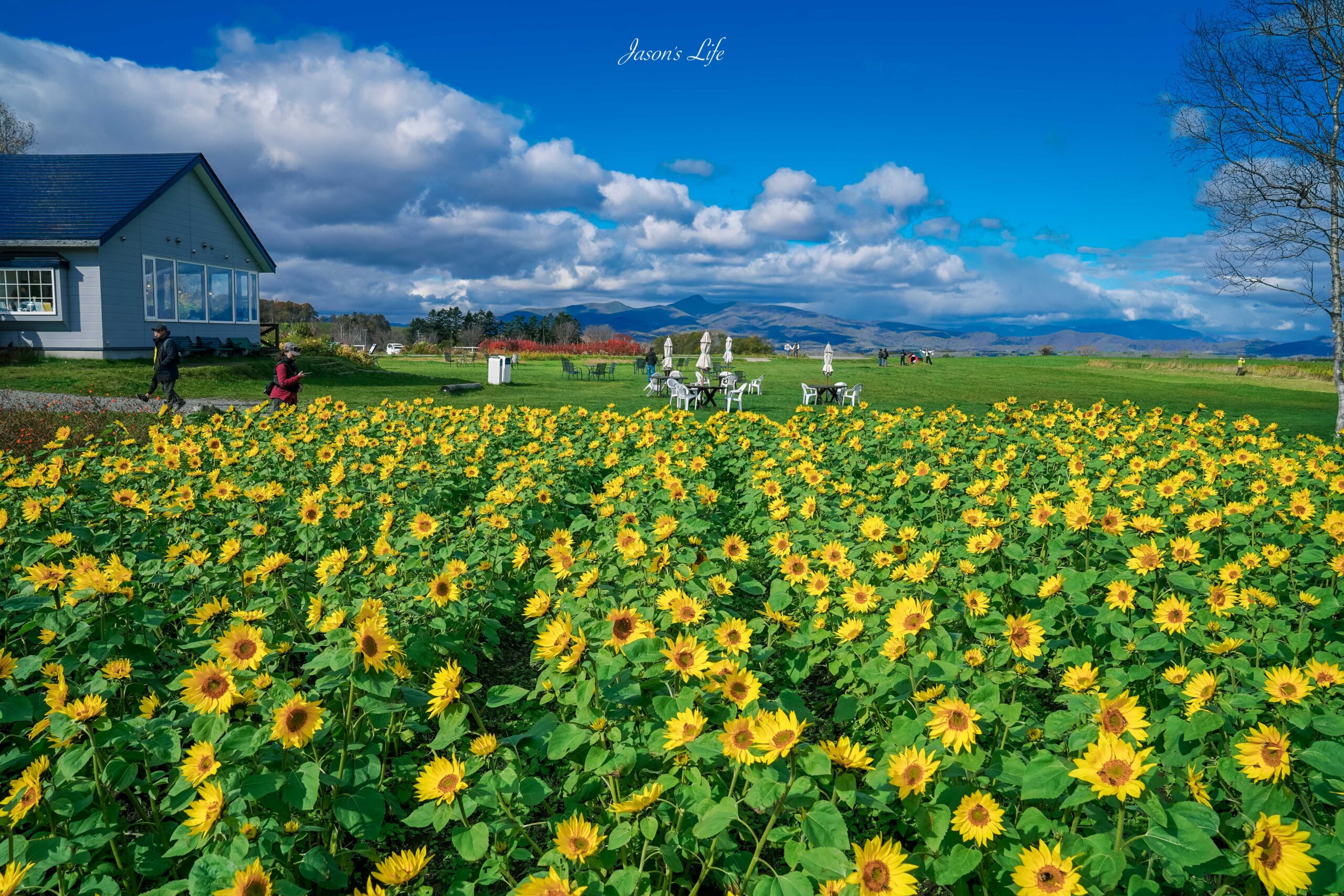 【北海道│行程規劃】2024年(秋)北海道九天八夜自駕行程、費用、景點、美食全公開 @Jason&#039;s Life