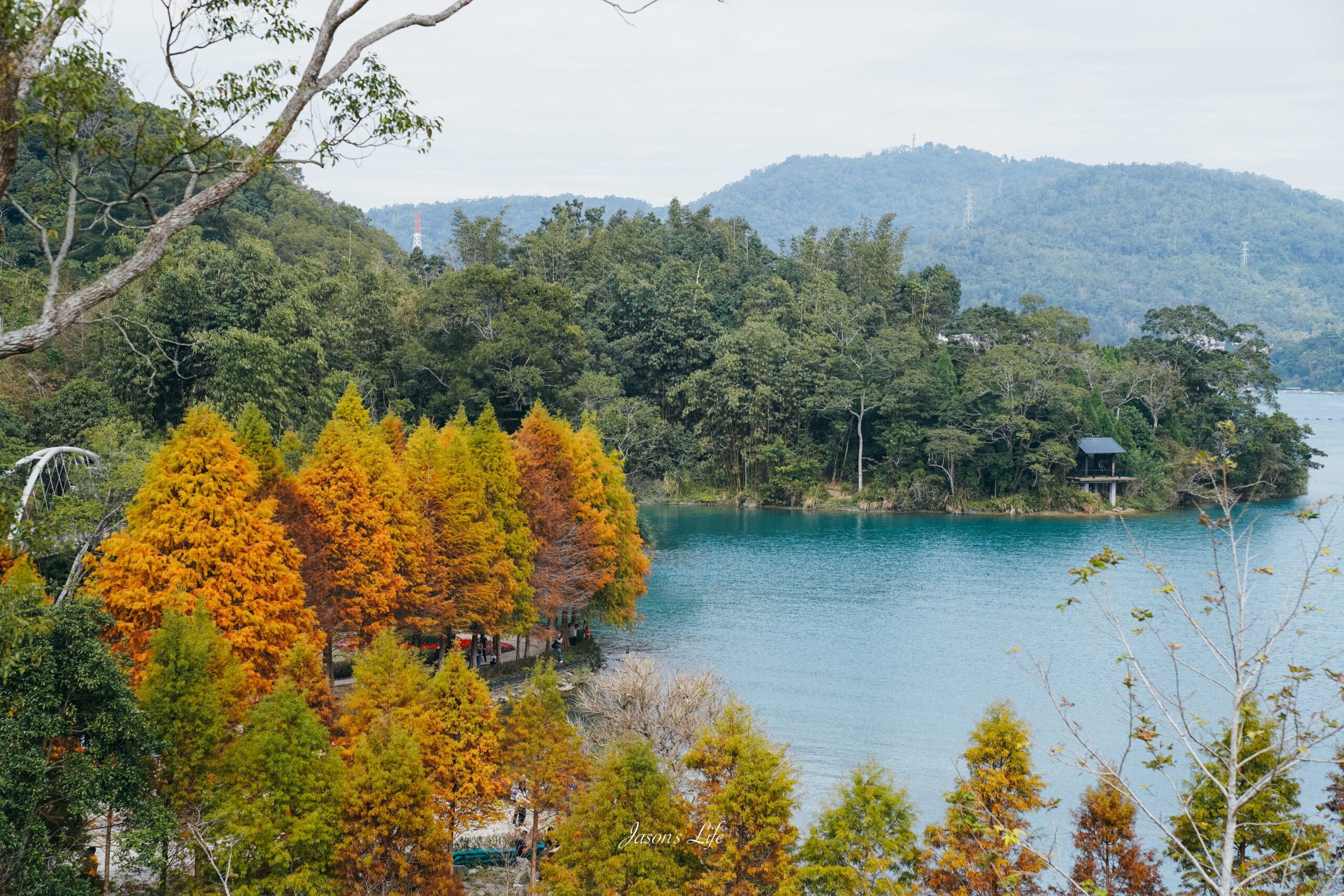 【南投魚池｜景點】向山遊客中心。落羽松紅了，搭配日月潭湖光山色，吸引大批遊客朝聖 @Jason&#039;s Life