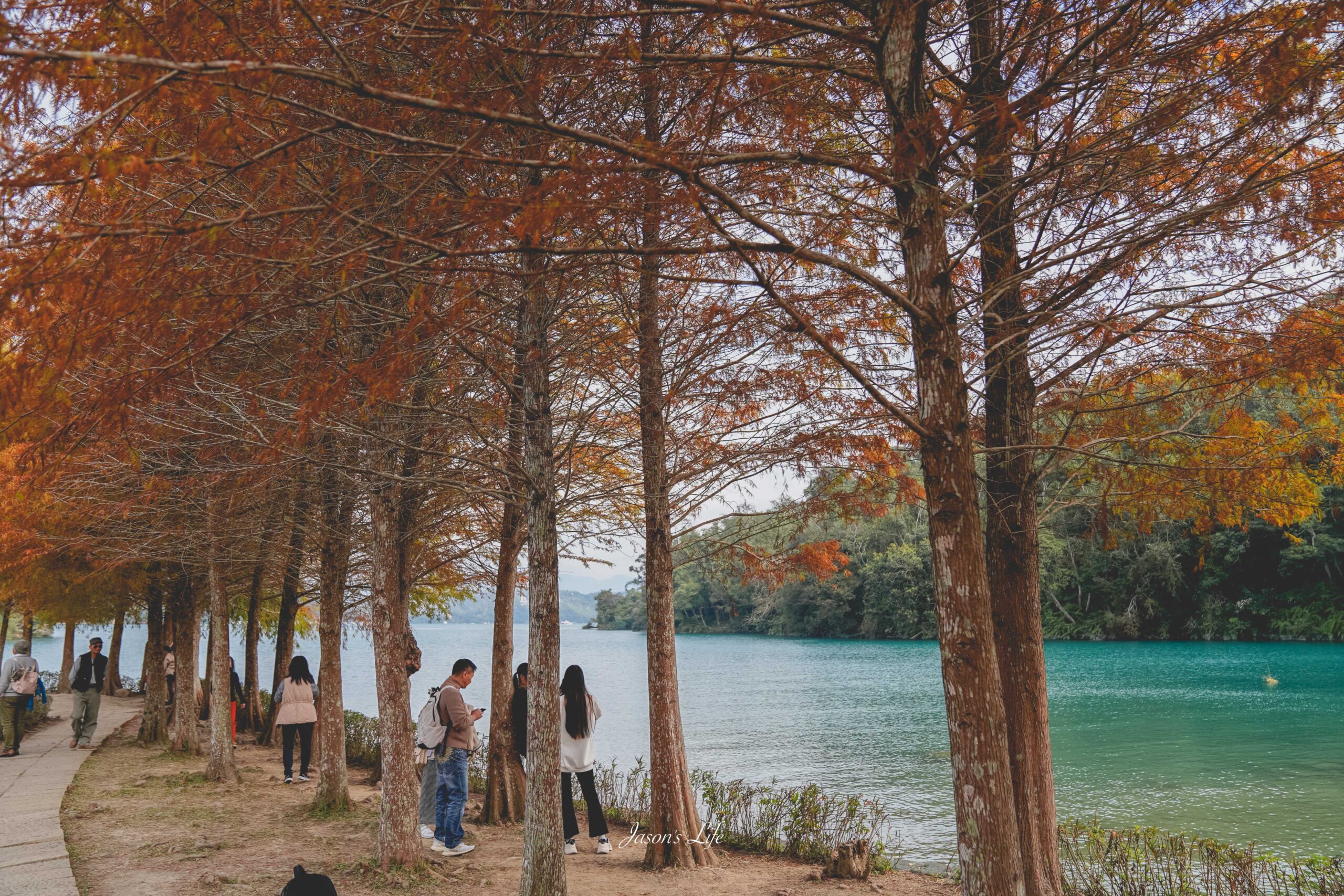 【南投魚池｜景點】向山遊客中心。落羽松紅了，搭配日月潭湖光山色，吸引大批遊客朝聖 @Jason&#039;s Life