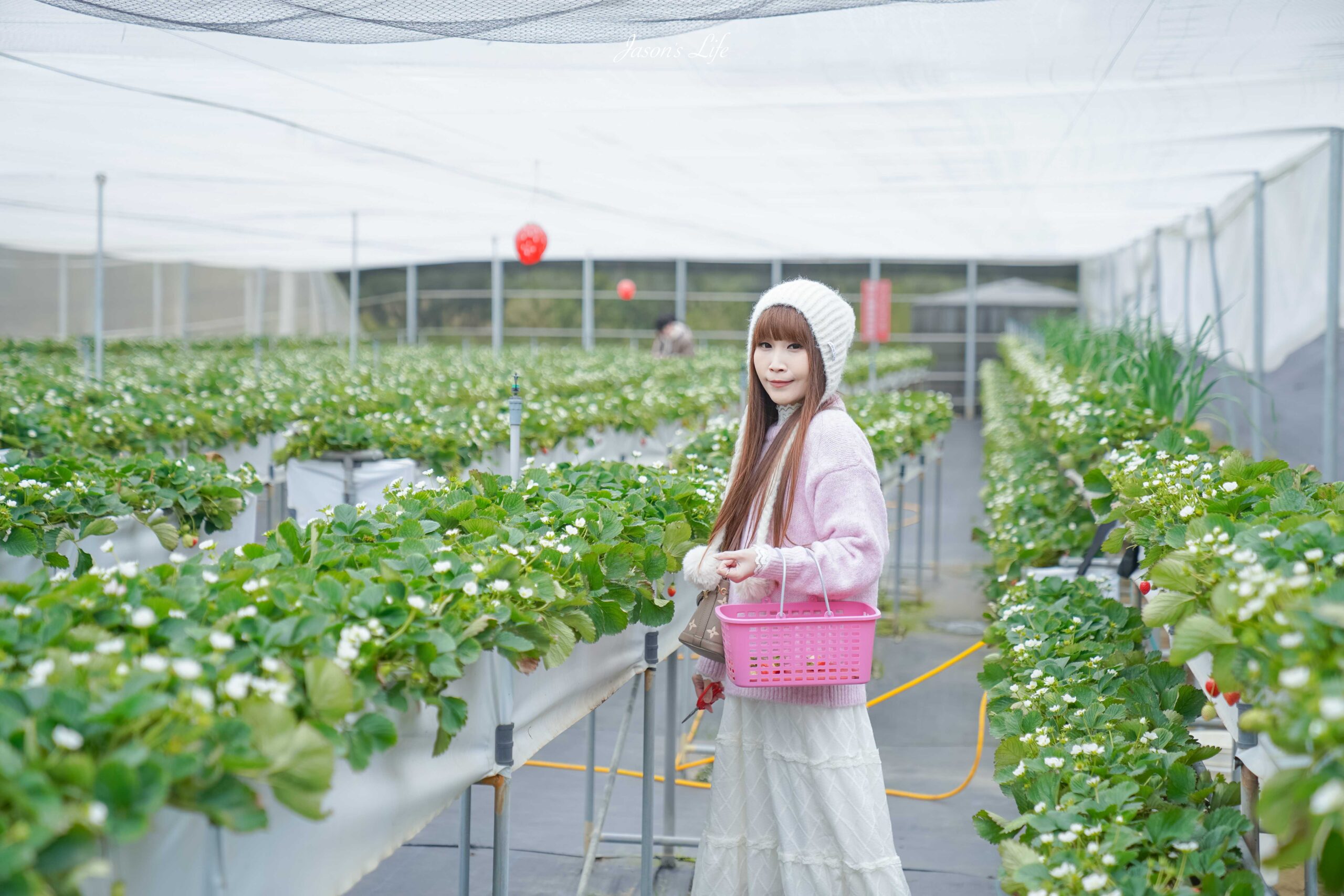 【苗栗大湖│景點】赤坡高架草莓園(赤坡CIIPOE咖啡廳)。2024苗栗景點新開幕，苗栗大湖高架草莓，人氣咖啡廳，邊採草莓還可以吃草莓蛋糕喝咖啡 @Jason&#039;s Life