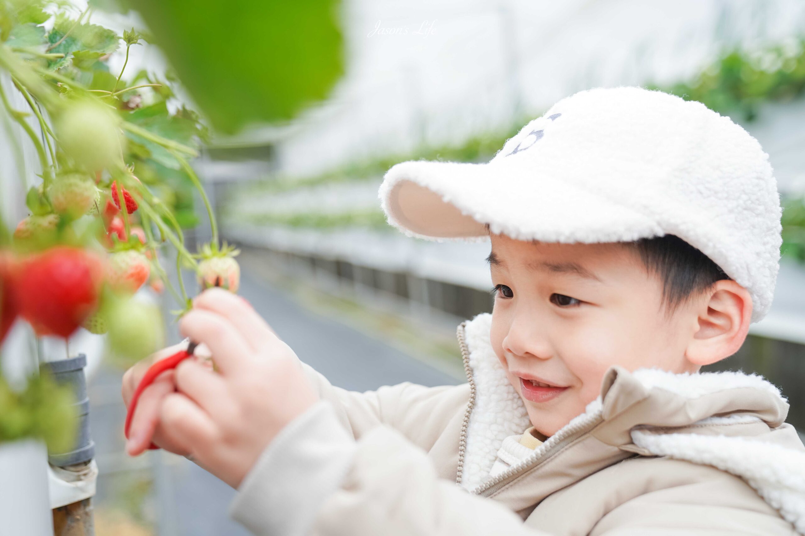 【苗栗大湖│景點】赤坡高架草莓園(赤坡CIIPOE咖啡廳)。2024苗栗景點新開幕，苗栗大湖高架草莓，人氣咖啡廳，邊採草莓還可以吃草莓蛋糕喝咖啡 @Jason&#039;s Life