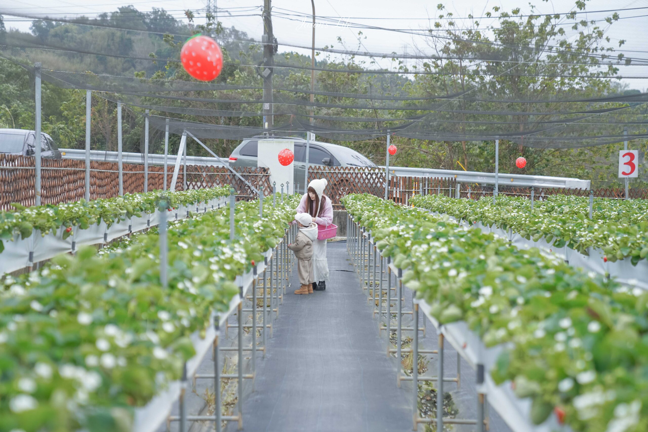 【苗栗大湖│景點】赤坡高架草莓園(赤坡CIIPOE咖啡廳)。2024苗栗景點新開幕，苗栗大湖高架草莓，人氣咖啡廳，邊採草莓還可以吃草莓蛋糕喝咖啡 @Jason&#039;s Life