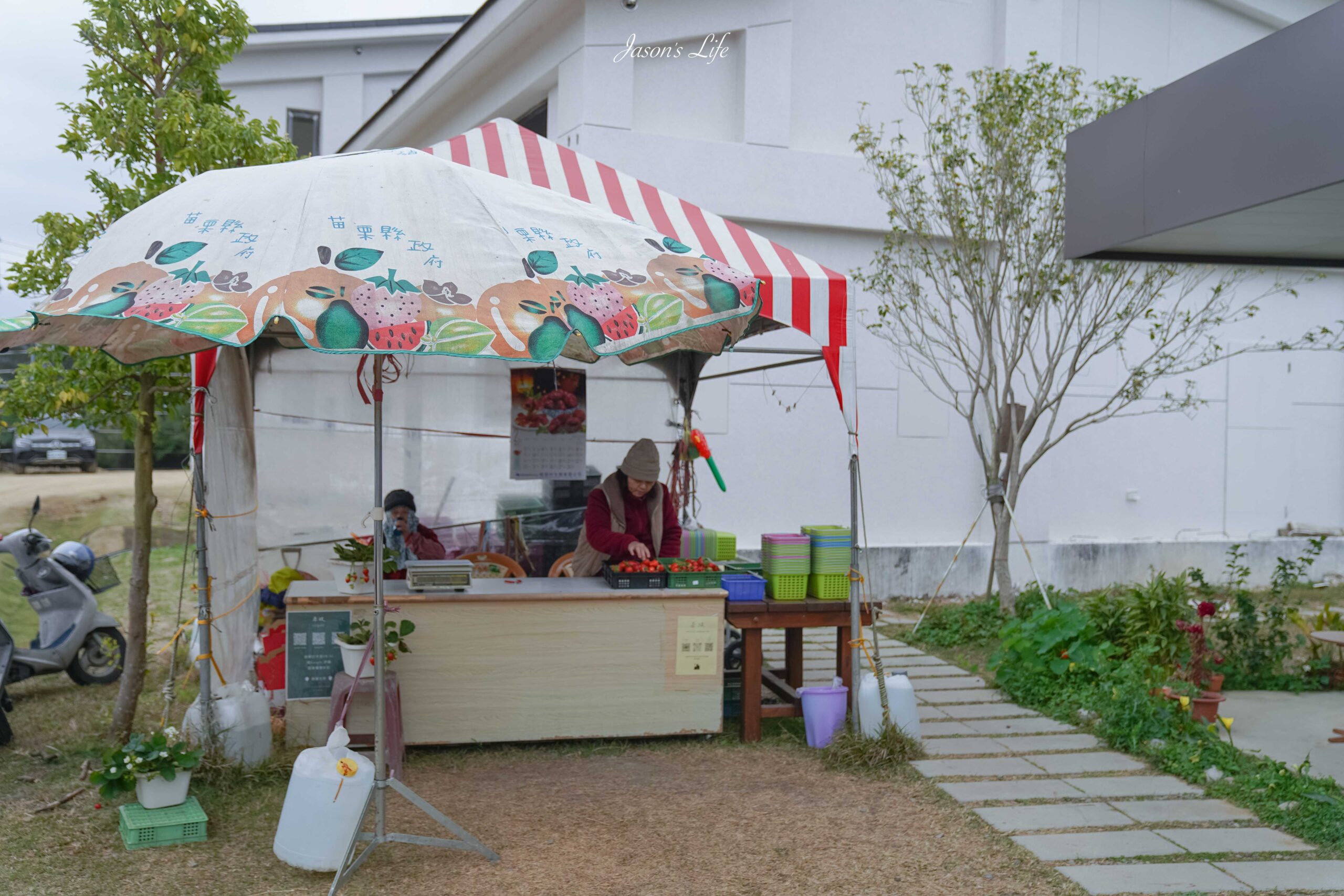 【苗栗大湖│景點】赤坡高架草莓園(赤坡CIIPOE咖啡廳)。2024苗栗景點新開幕，苗栗大湖高架草莓，人氣咖啡廳，邊採草莓還可以吃草莓蛋糕喝咖啡 @Jason&#039;s Life