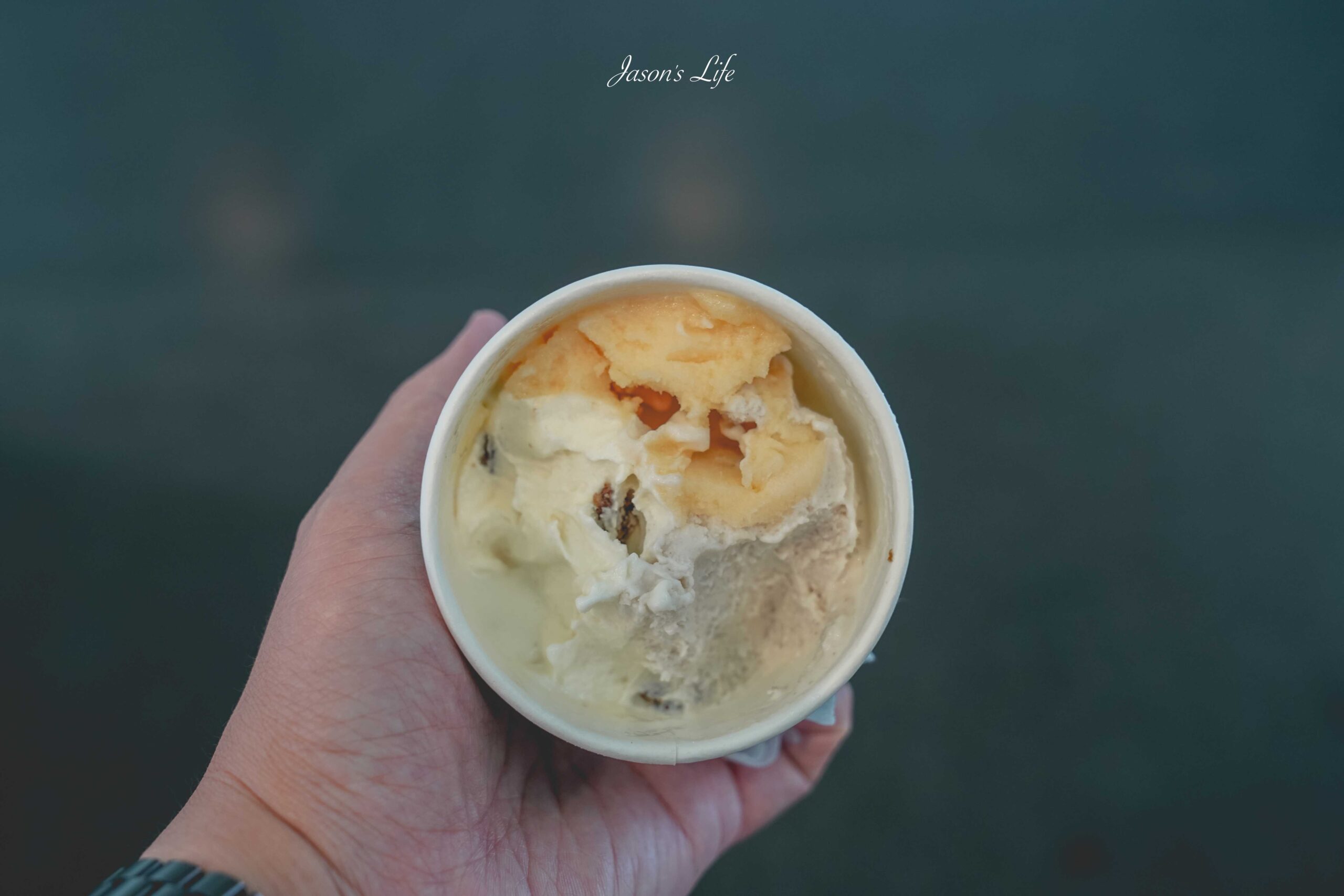 【台南安平│美食】NINAO Gelato 蜷尾家經典冰淇淋。安平門市人氣口味推薦、清水模IG打卡熱點、停車資訊全攻略！ @Jason&#039;s Life
