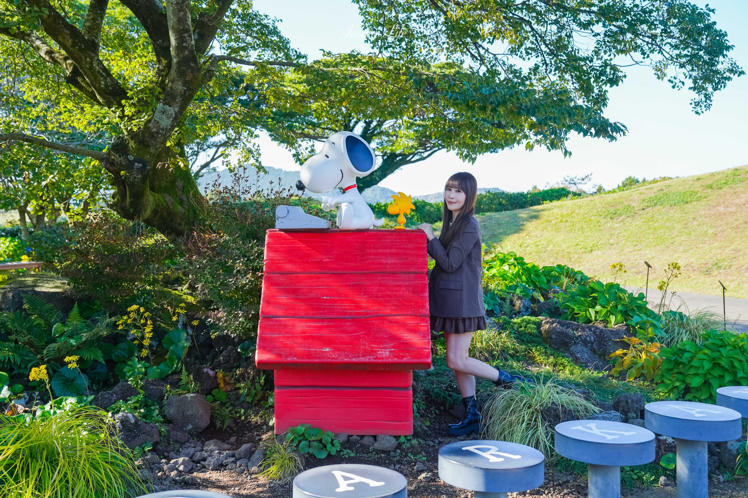 【韓國濟州｜行程規劃】2025年秋季濟州島台中直飛四天之旅。涼爽天氣，吃海鮮逛市場，網美咖啡店林立 @Jason&#039;s Life