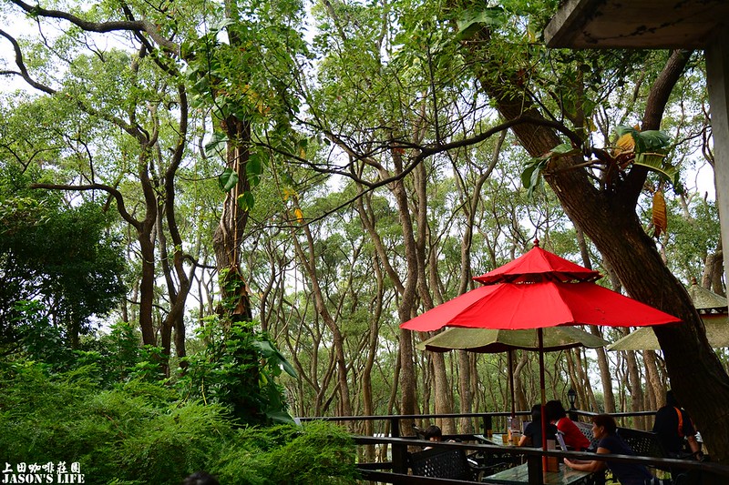 【苗栗│美食】通宵景觀餐廳，頂天樟樹圍繞，就好像綠野仙蹤般。上田咖啡莊園 @Jason&#039;s Life