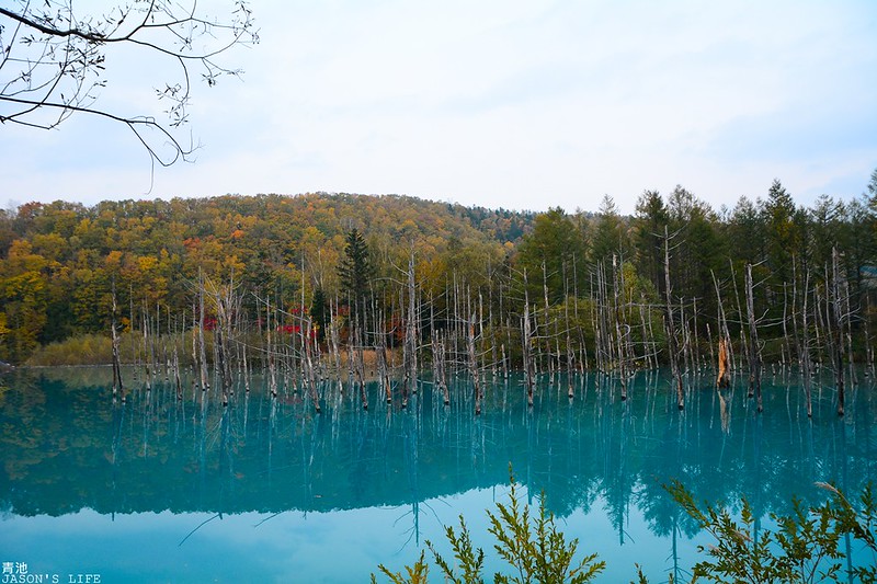 【北海道│景點】北海道絕美景色，藍綠色夢幻水池，猶如仙境般，令人驚艷。青池 @Jason&#039;s Life