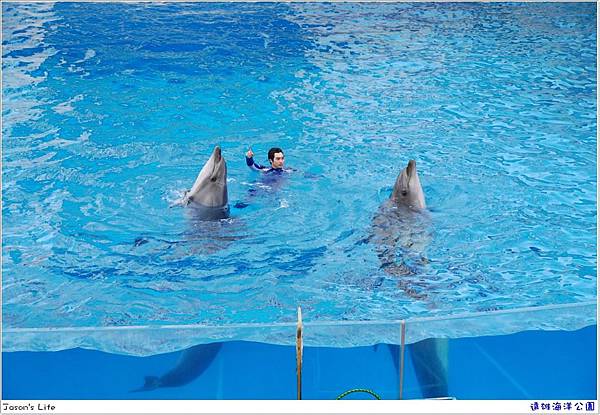 【花蓮│景點】帥氣海豚、爆笑海獅。遠雄海洋公園 @Jason&#039;s Life